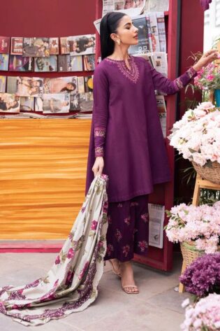 AIRJET DHANAK EMBROIDERED COLLECTION