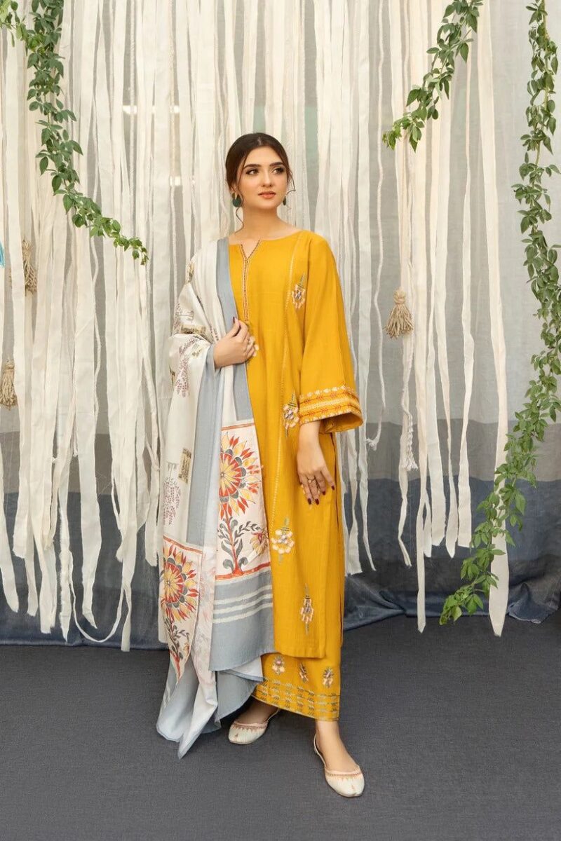 AIRJET DHANAK EMBROIDERED COLLECTION - Image 2