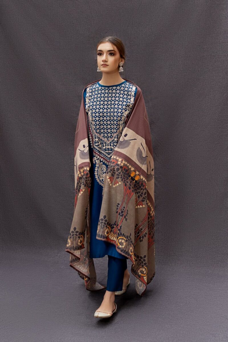 AIRJET DHANAK EMBROIDERED COLLECTION - Image 2