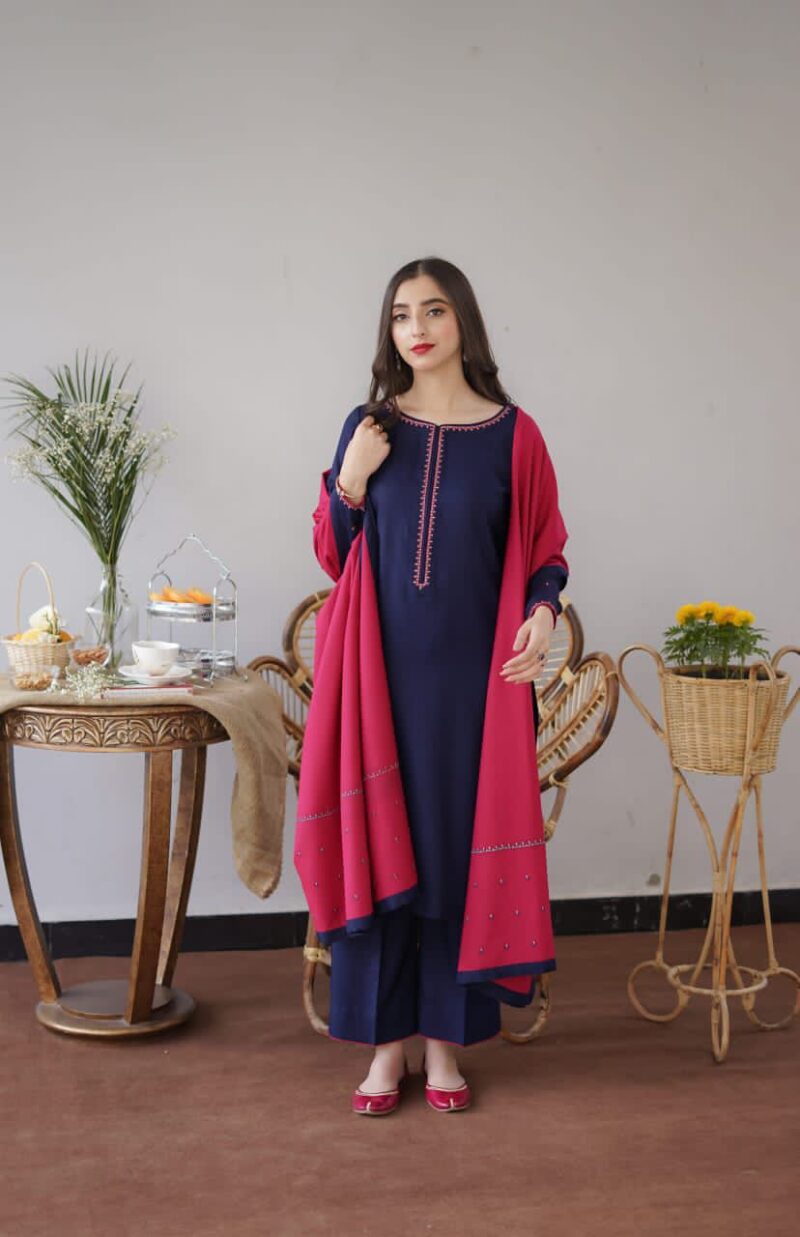 Presenting Aisling By Nirmal Brand Luxury Embroidered Hit Code Article - Image 4
