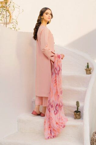 Introducing Ethnic By Outfitter Premium Edition Article