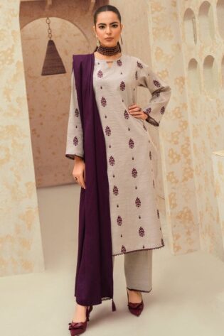 Presenting Zaroon Brand Luxury Embroidered Hit Code Article